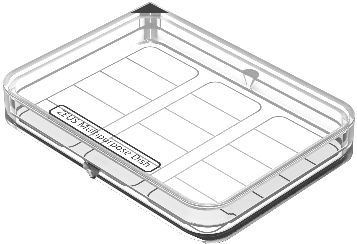 Multipurpose Dish